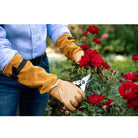 Felco Rose Gloves - in use pruning roses