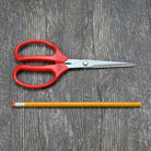 Utility Scissors 340 by ARS size comparison