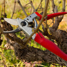 Felco F17 Left-Handed Pruning Shears - in bush