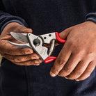 Felco F16 Left-Handed Pruning Shears - in man's hands