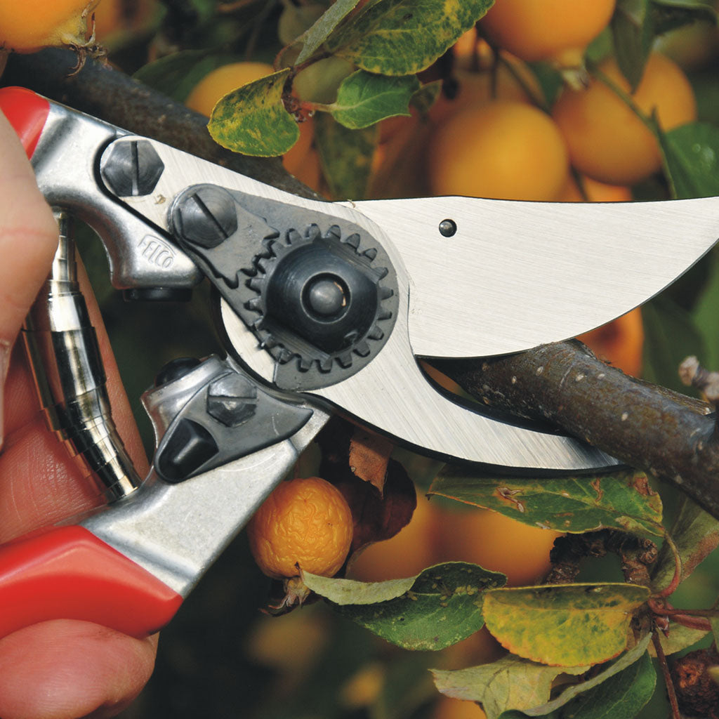 Felco F9 Left-Handed Pruning Shears - in use