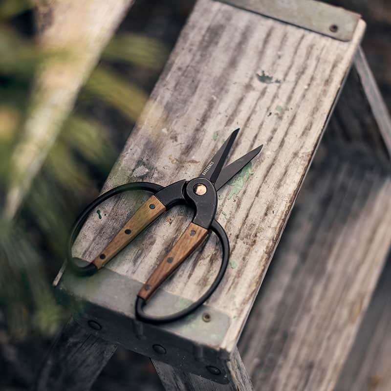 Small Garden Scissors - Heirloom Potager