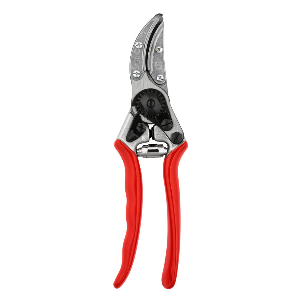 https://www.gardentoolcompany.com/cdn/shop/products/cut-n-hold-rose-pruning-shears-f100-felco-1_1024x.jpg?v=1633516619