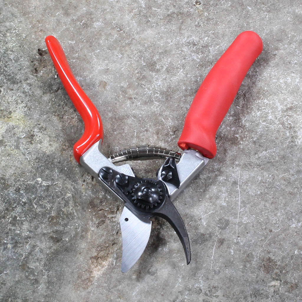 Felco 2 Pruning Shears still going strong after 3 years of use